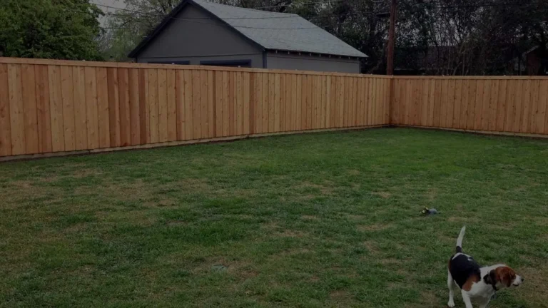 New wood privacy fence around a backyard, with the family dog in the yard